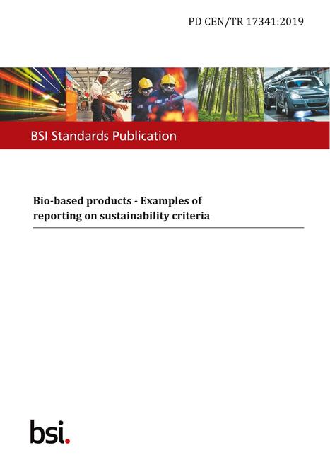 BS PD CEN/TR 17341:2019